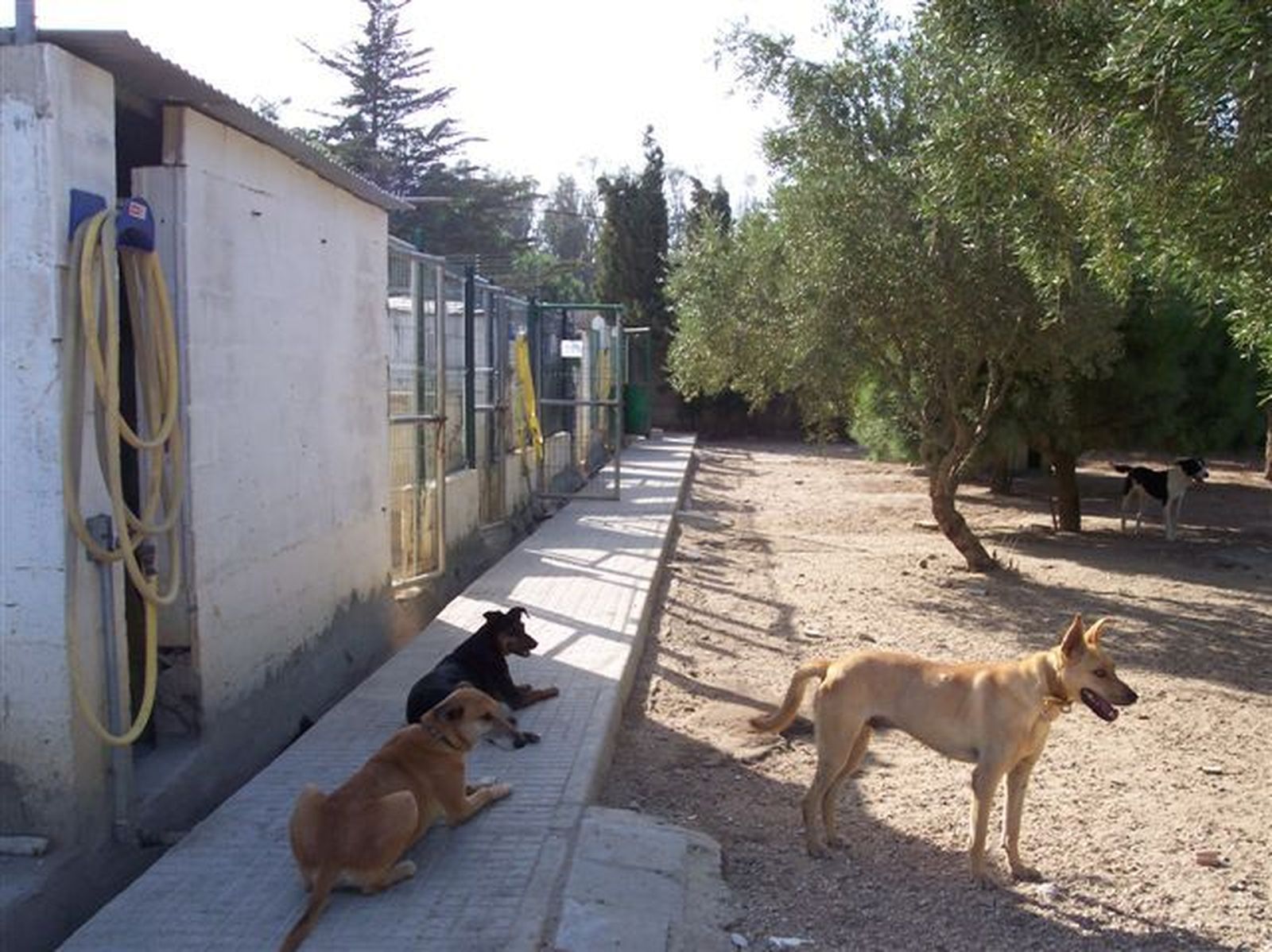 Uno de los rincones del Refugio Kimba, en una imagen de archivo.