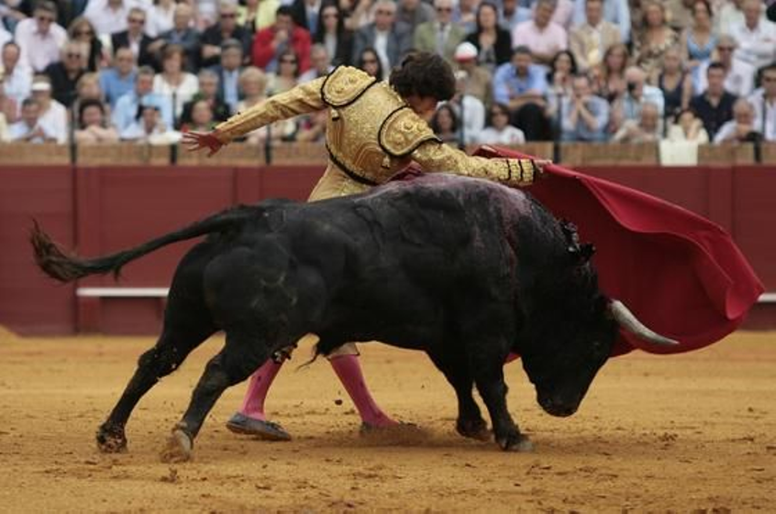 El diestro Sebastian Castella en su primera y única tarde de Feria.

Foto: Juan Carlos Muñoz