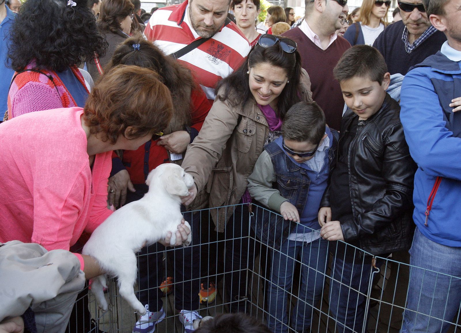 Jornada de adopción de mascotas celebrada el año pasado.