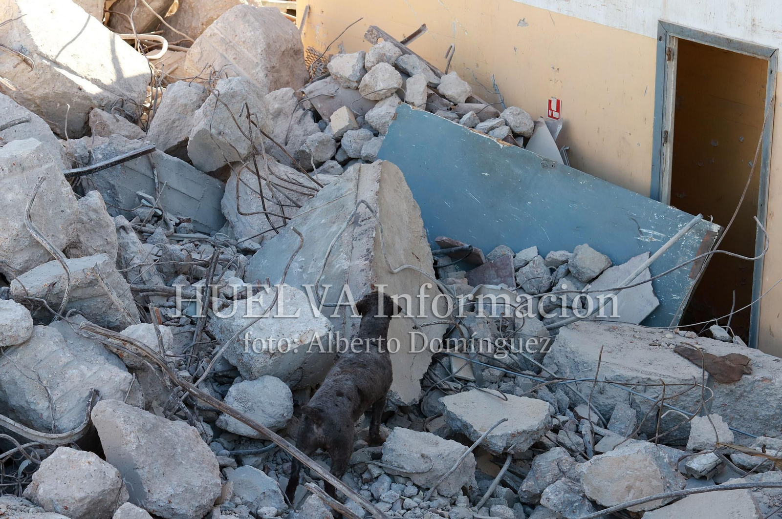 Imágenes del simulacro de los Bomberos de Huelva con la Unidad Canina