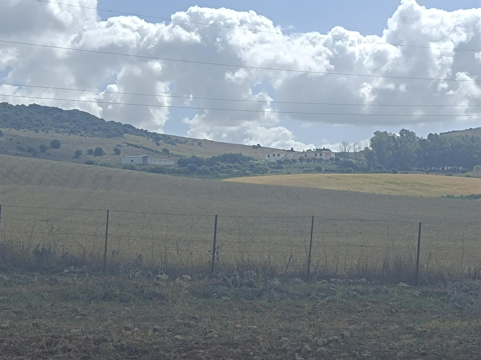 Los terrenos de la finca La Cantora.