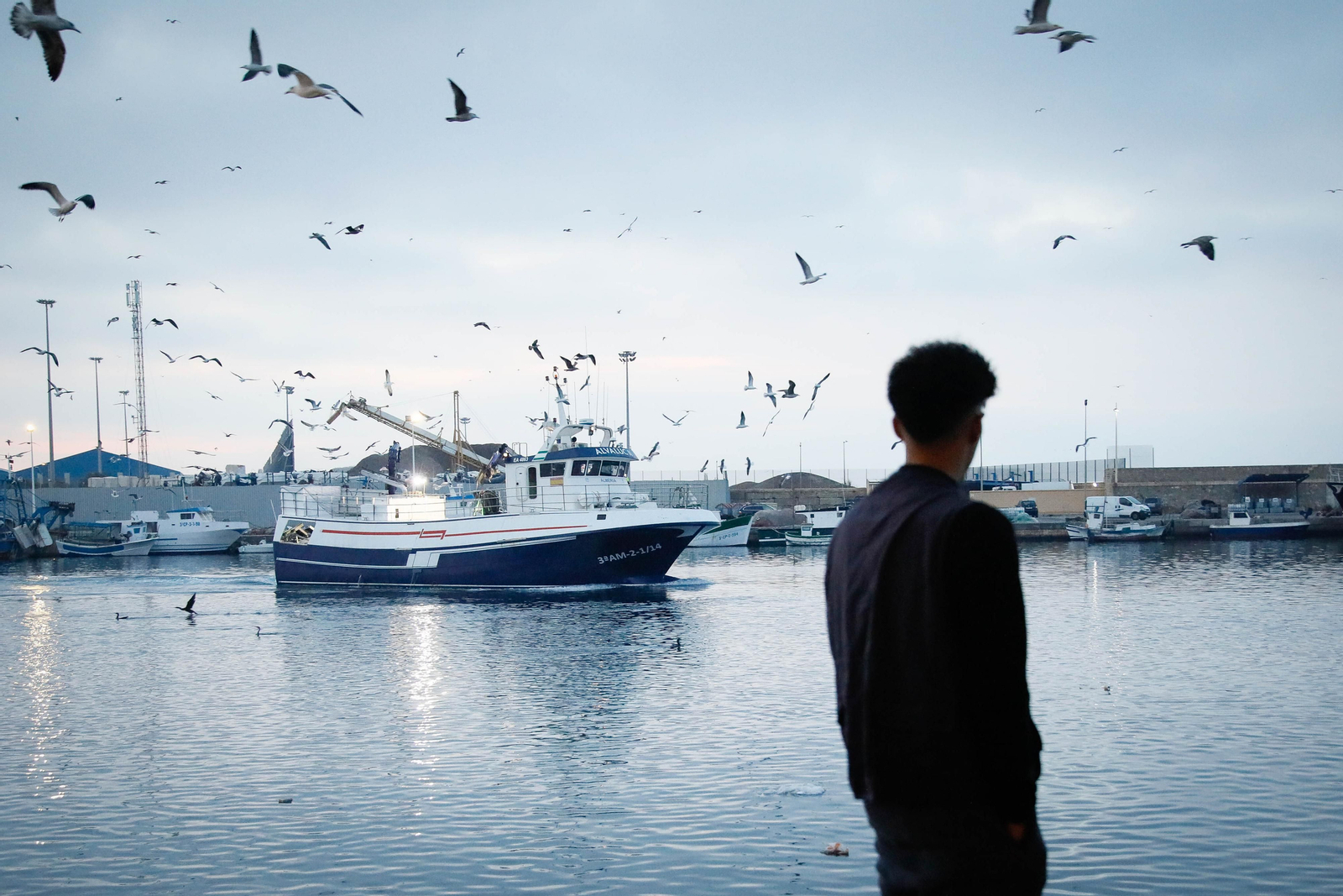 Te contamos en imágenes como ha sido la descarga de las traiñas en la lonja de Almería