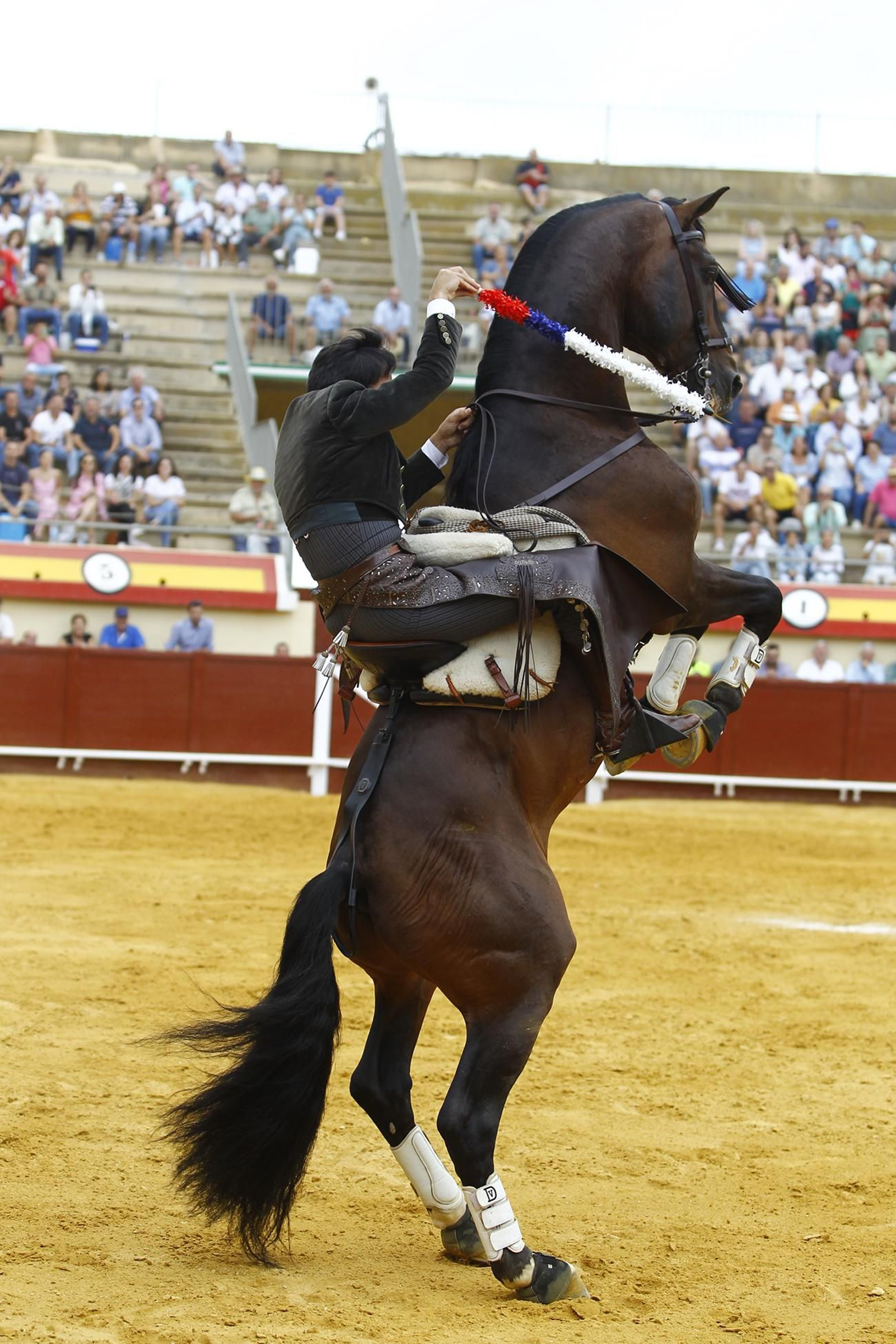 Imágenes de la corrida de rejones en la Feria taurina de Vera 2022