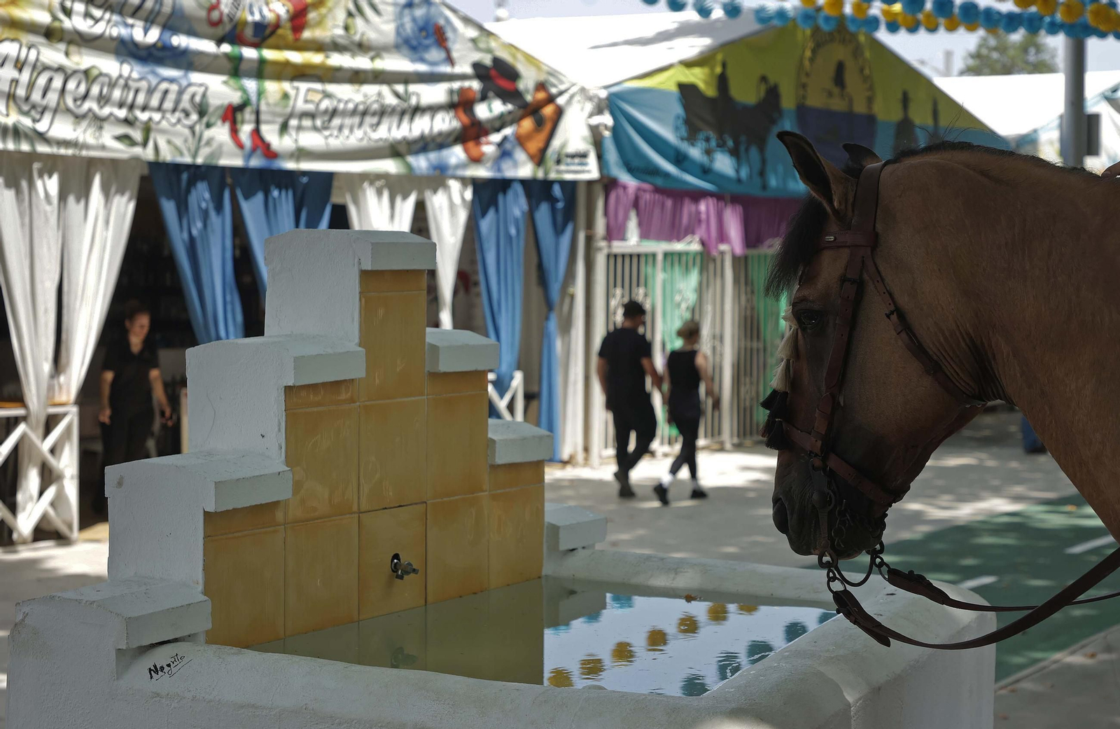 Fotos del tradicional concurso 'Paseo a Caballo' en la Feria Real de Algeciras 2025 Fotos del tradicional concurso 'Paseo a Caballo' en la Feria Real de Algeciras 2025