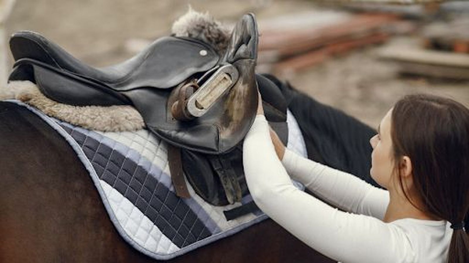 El arte de la guarnicionería: Tradición y ergonomía en el equipamiento ecuestre de alta gama