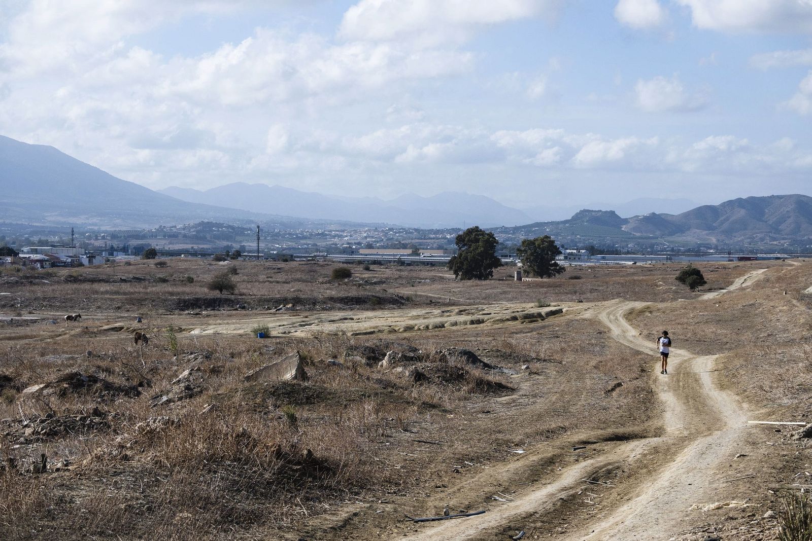 Terrenos en los que se ubicaría la Exposición Internacional.