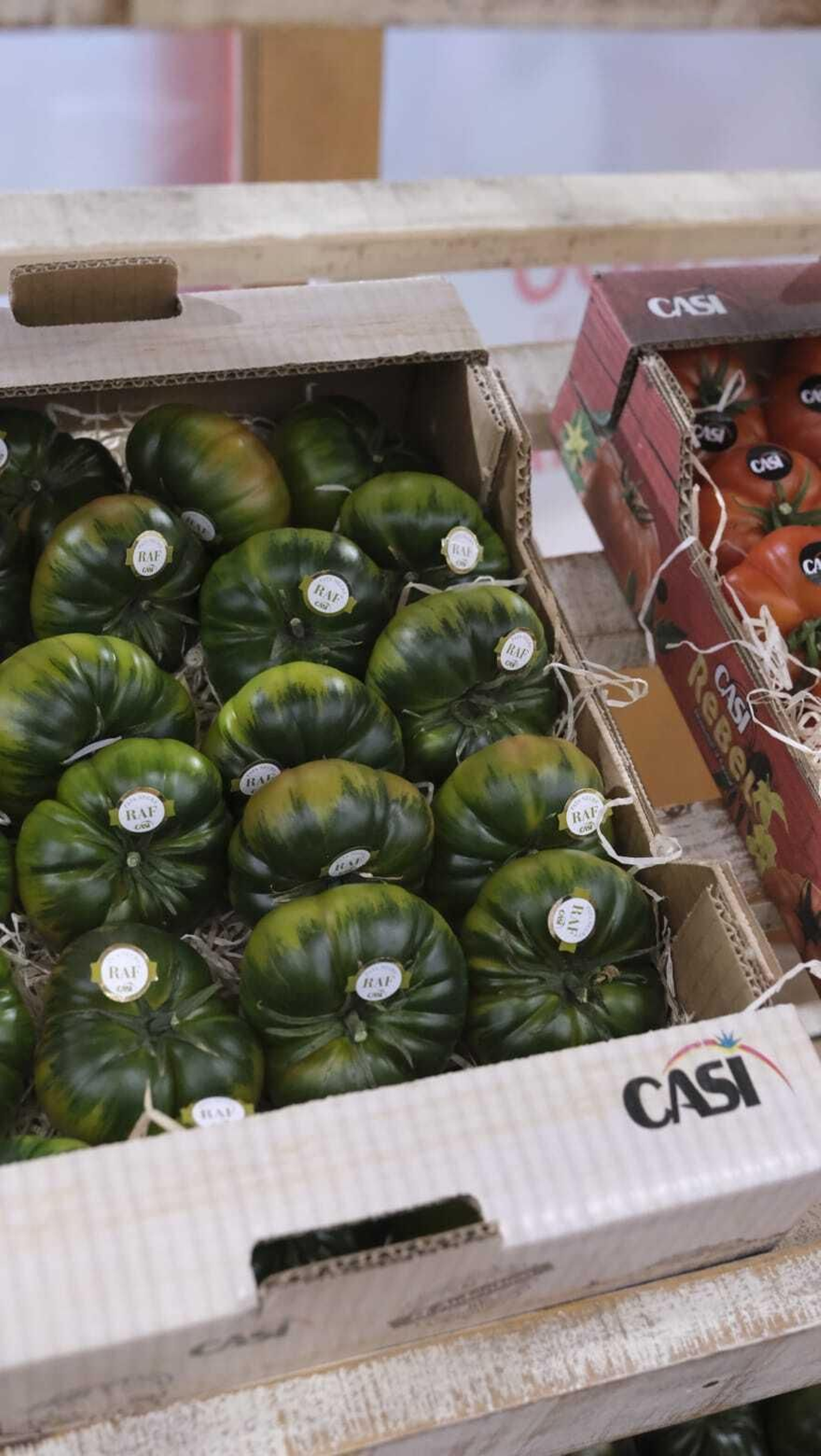 Samantha Vallejo-Nágera presenta la I Jornada del Tomate de Sabor de CASI (Almería)