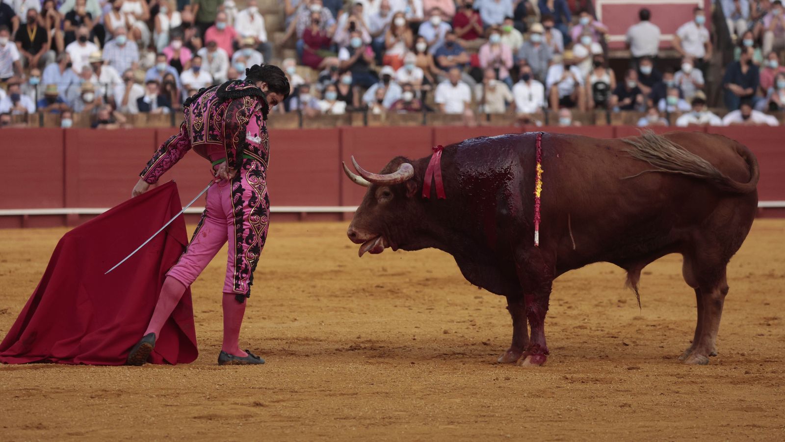 La grandiosa faena a este toro de Juan Pedro Domecq marcó el comienzo de su lustro prodigioso.
