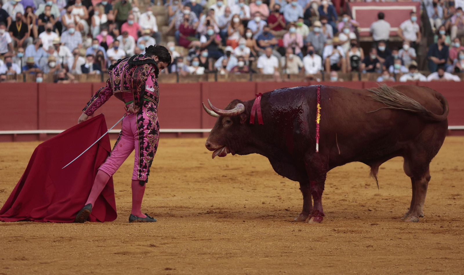 Las imágenes del triunfo de Morante en San Miguel
