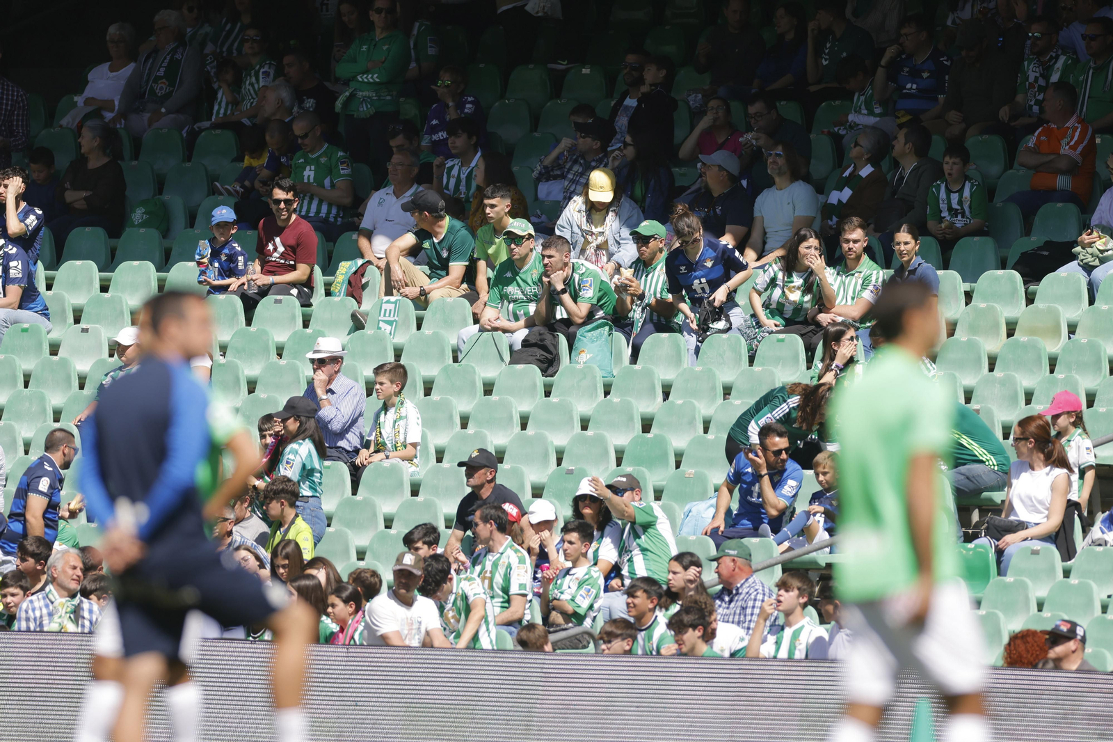 Búscate en las fotos del Betis-Mallorca