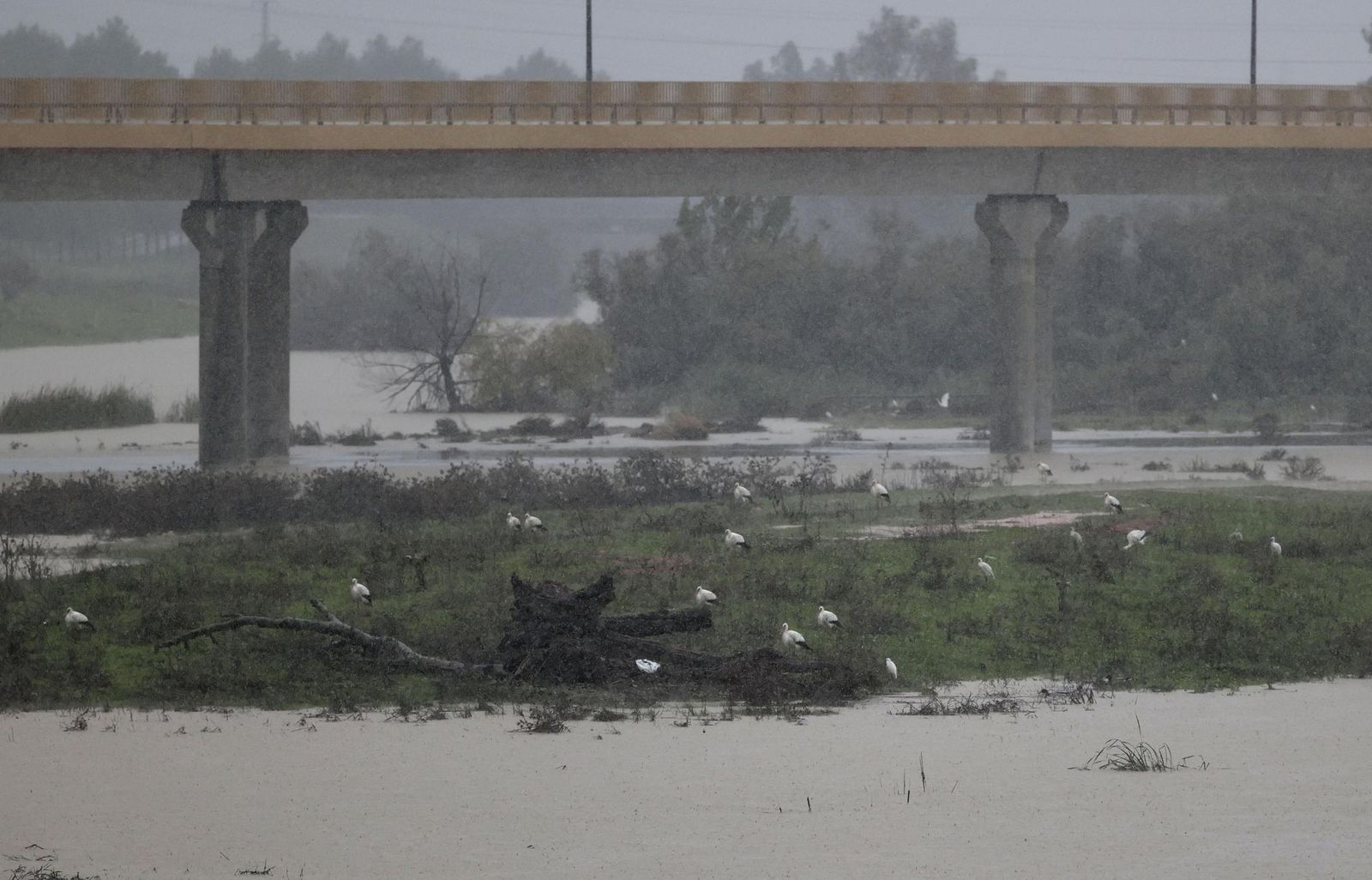 Las imágenes de la crecida del río Guadaíra a su paso por Sevilla