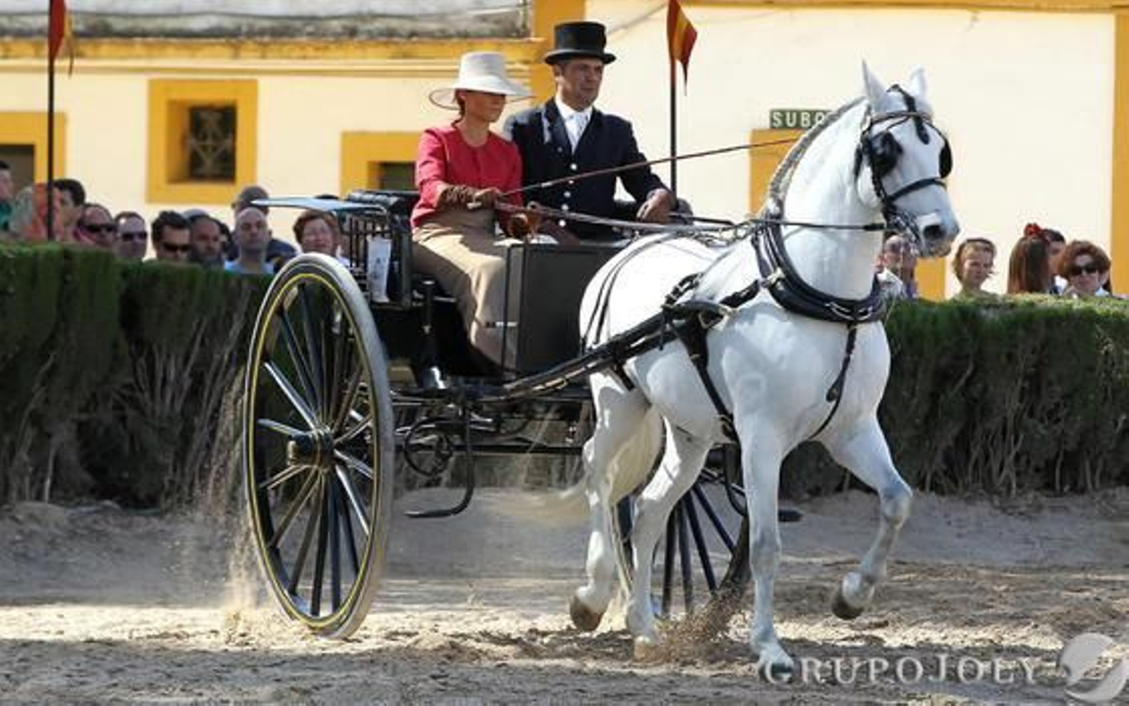 Sobre estas líneas, el más simple y grácil: la limonera.

Foto: Miguel Angel Gonzalez