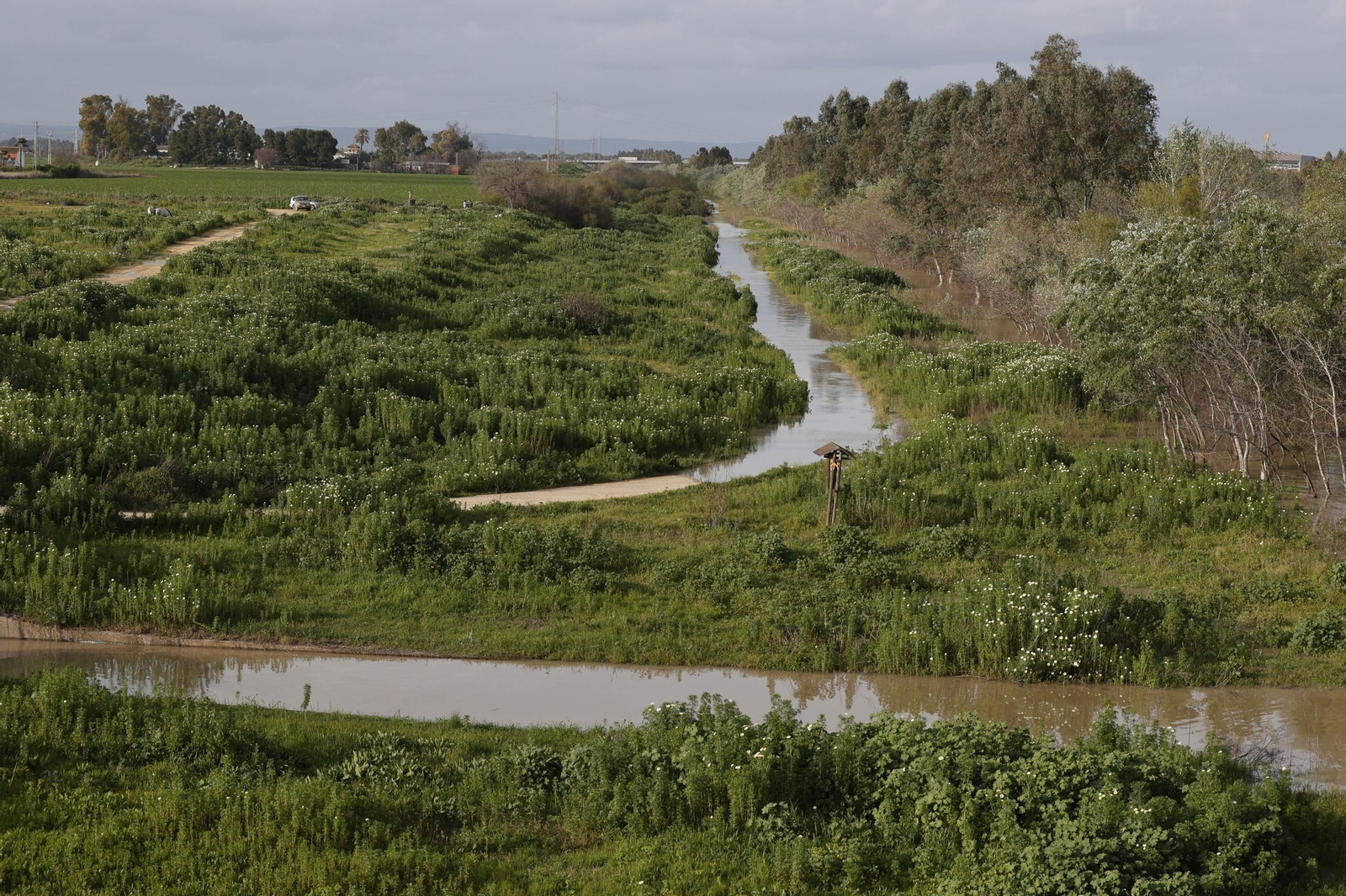 Las imágenes de la crecida del río Gualquivir en Sevilla
