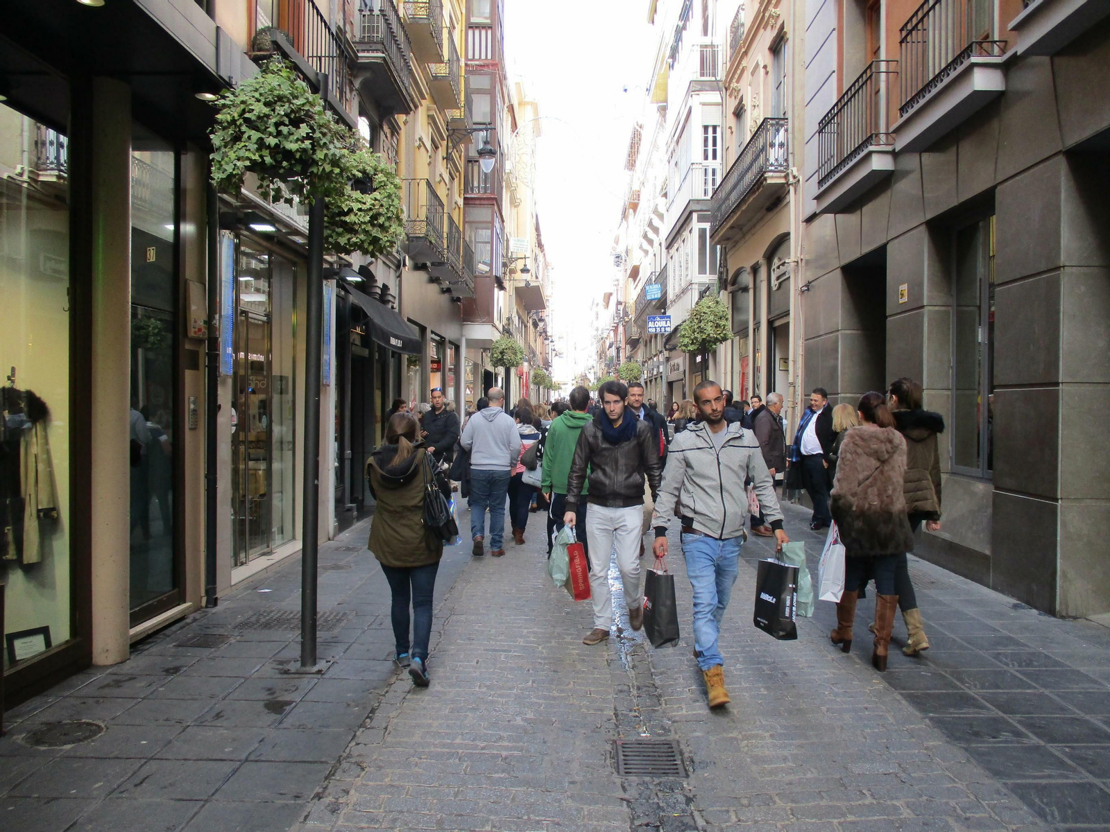 Granada, cuarta de Andalucía en empresas inscritas a la Seguridad Social