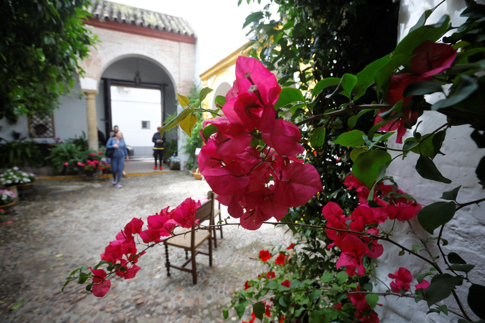 Patio de las Religiosas Jerónimas de Santa Marta y Hermandad de la Misericordia.