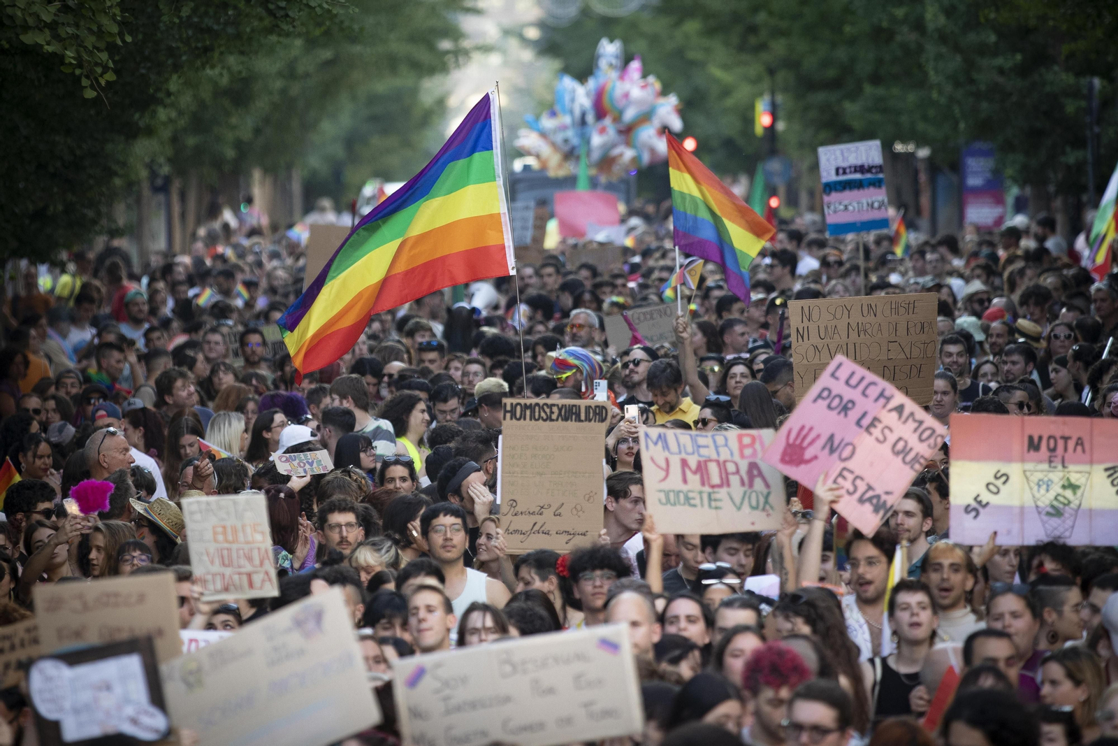 Manifestación del Orgullo en Granada, en imágenes