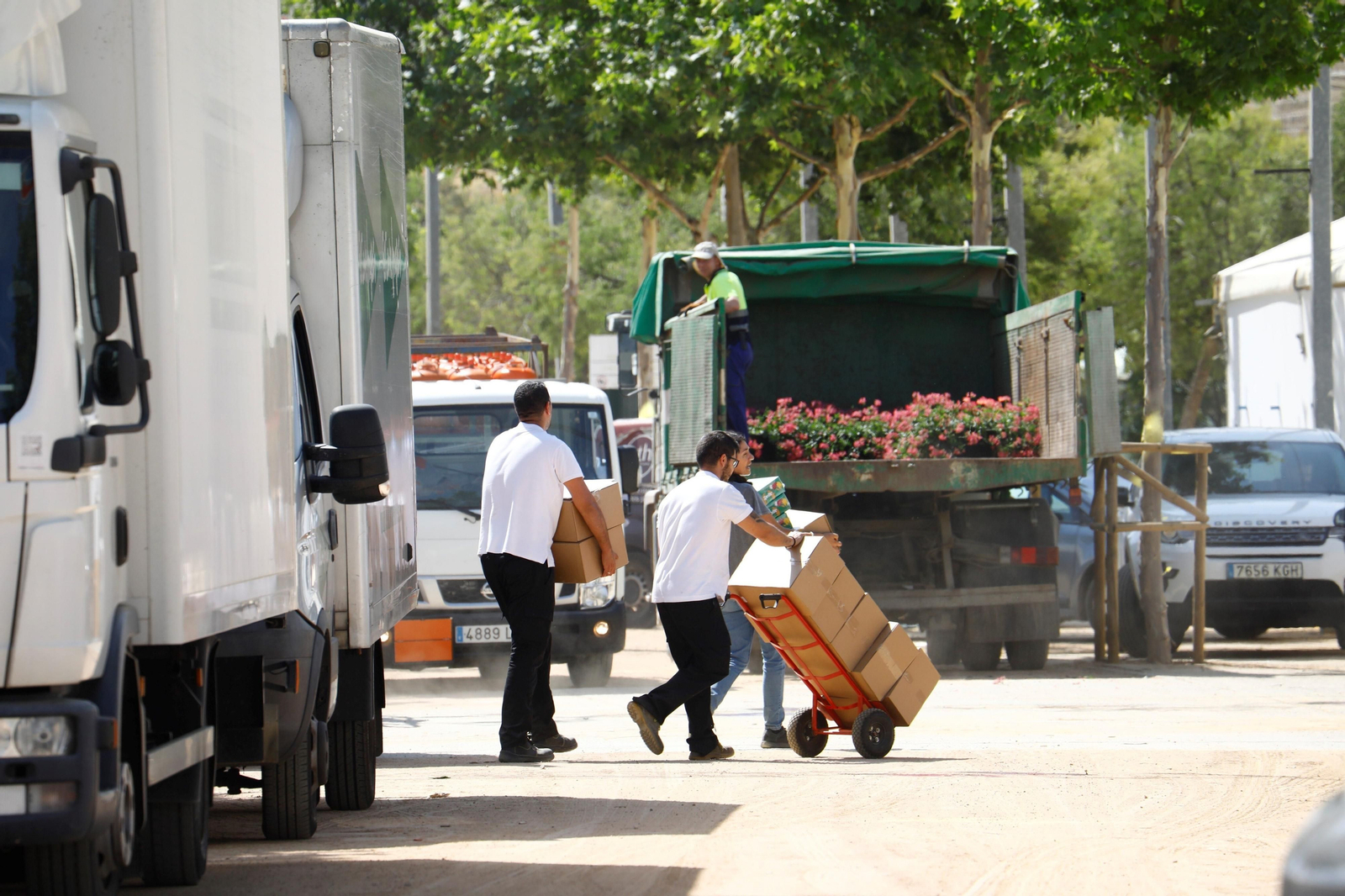 Todo listo en recinto ferial de El Arenal, en imágenes