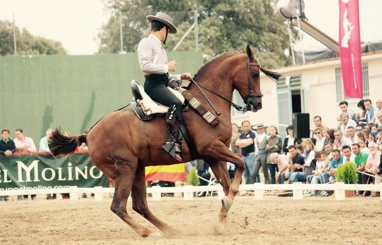 Álvaro Teba con uno de sus ejemplares durante una exhibición de doma vaquera.