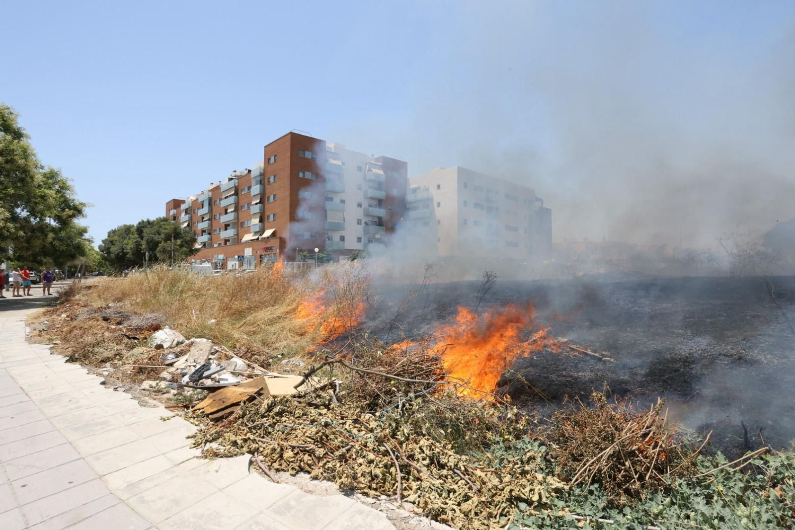Incendio de pastos junto a la avenida de Espera en Jerez
