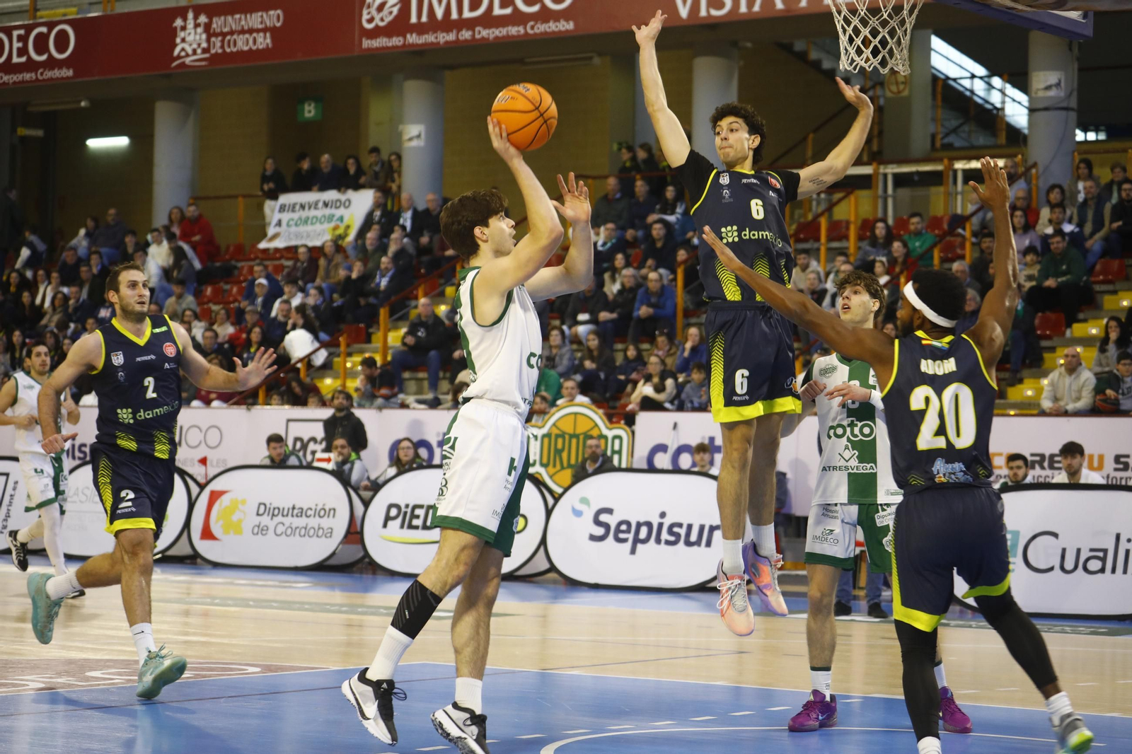 Las mejores fotos del ambiente en Vista Alegre para el Coto Córdoba - UDEA Algeciras