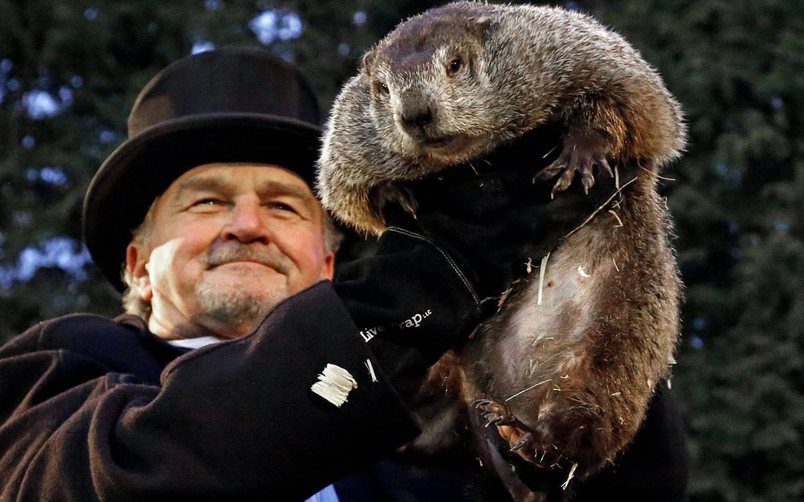 La marmota Phil, en una de sus gloriosas salidas.