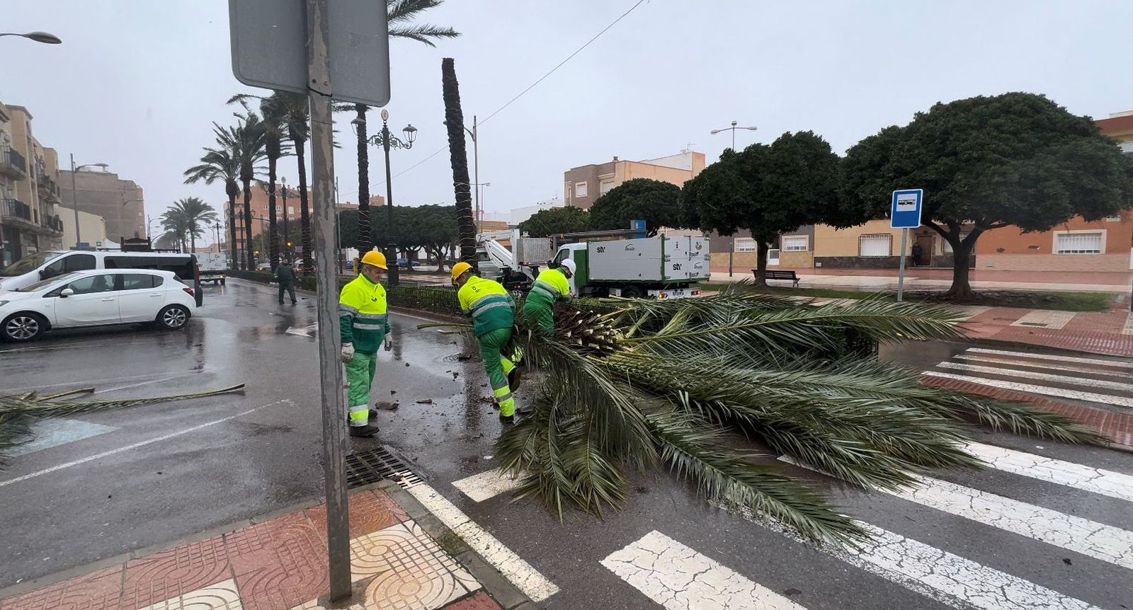 Las labores de los servicios de emergencia de Roquetas solventan los destrozos de la borrasca Kristin, en imágenes