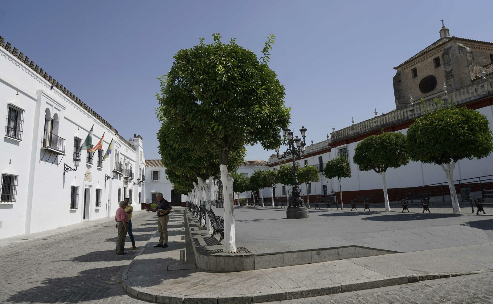 Olivares, en imágenes