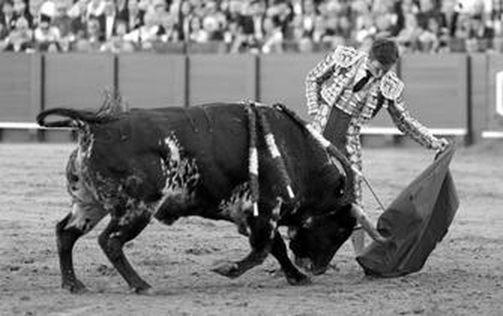 El Juli, en un natural mandón al segundo toro de la tarde, al que cortó la única oreja del festejo.