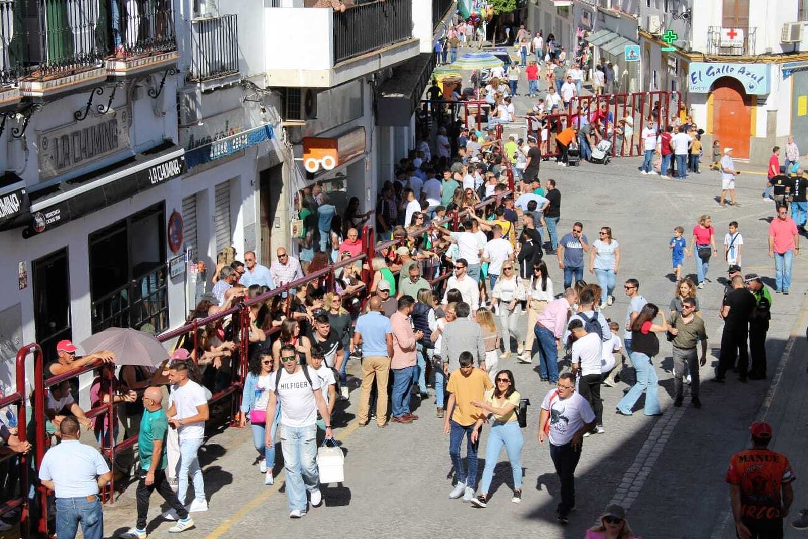 Las imágenes de la celebración del Toro del Aleluya en Arcos 2024