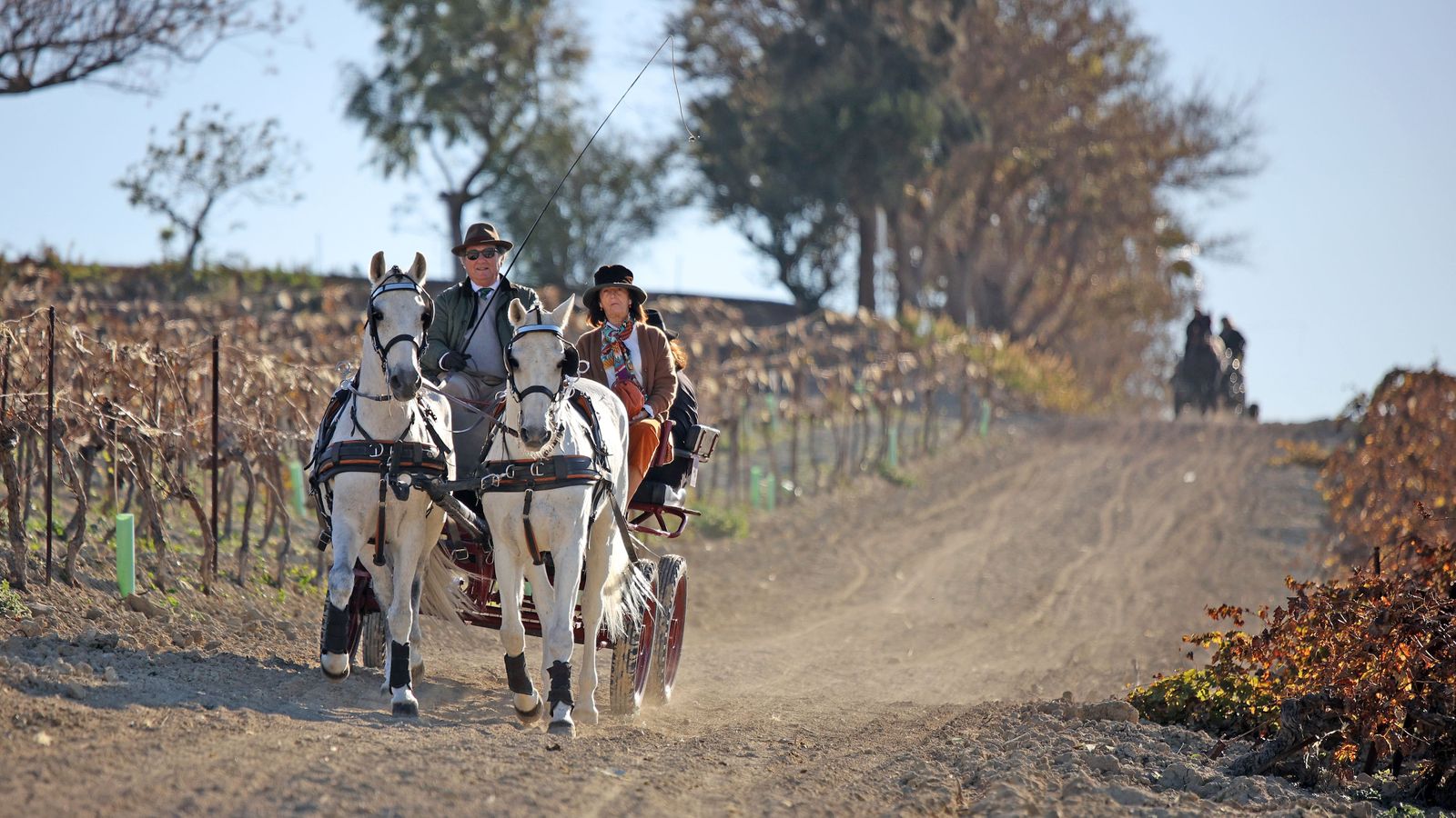 II Ruta Viñas de Jerez