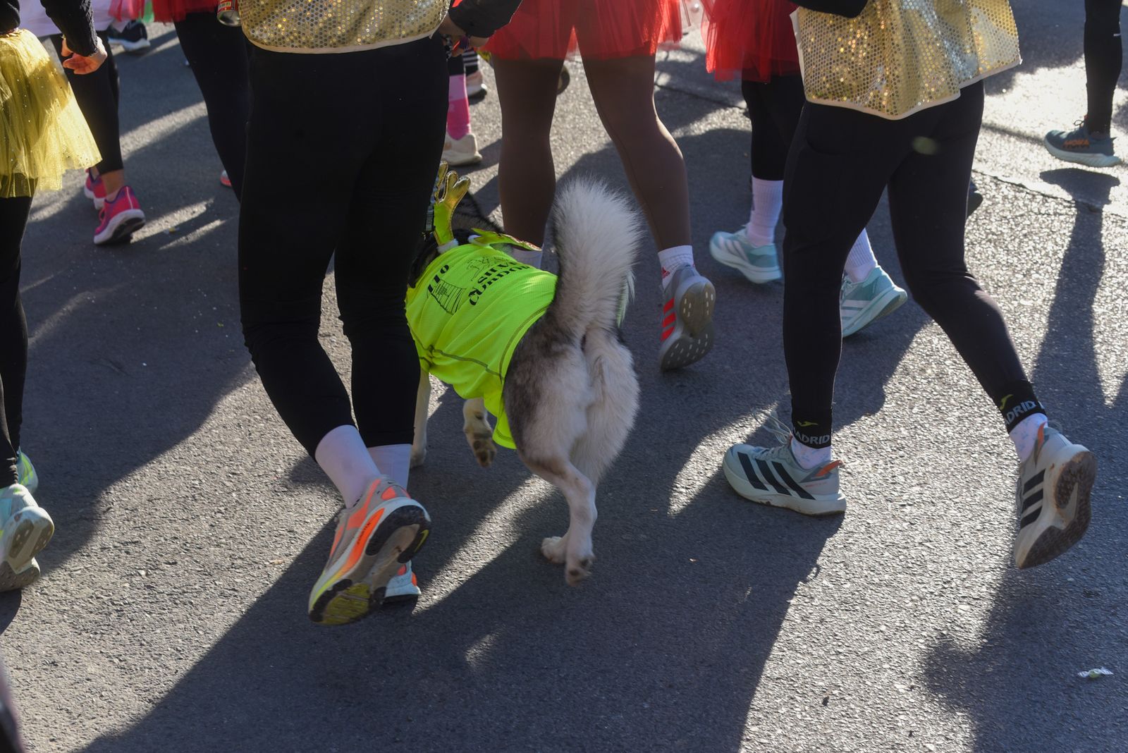 Búscate en nuestra galería de fotos de la San Silvestre Cordobesa 2025