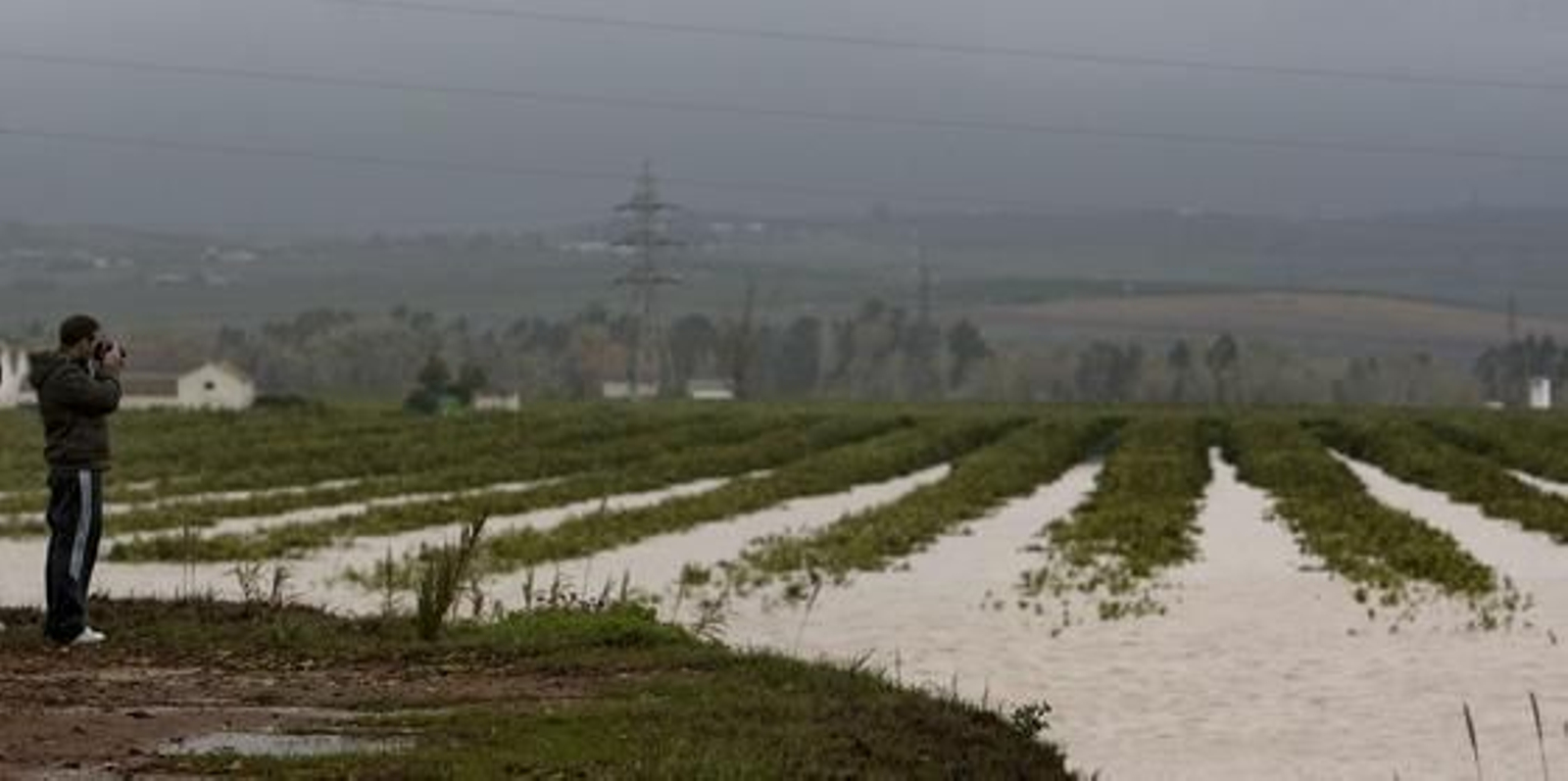 Un hombre fotografía un campo inundado en Tocina.

Foto: Agencias