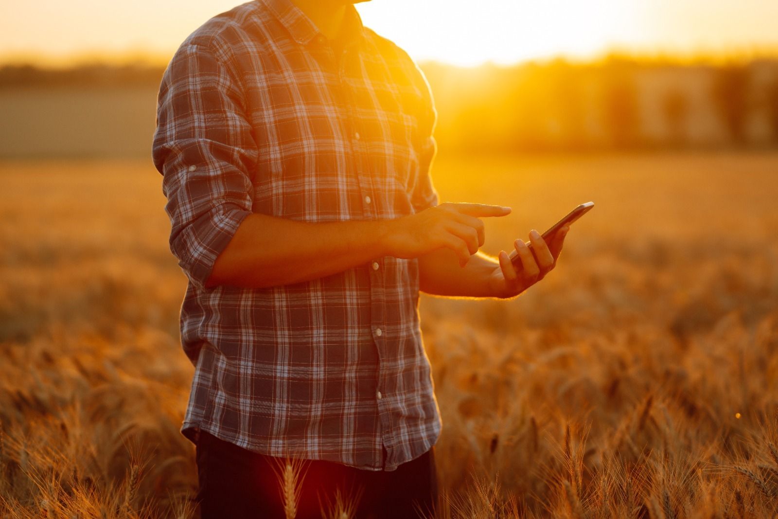 Digitalización de la agricultura.