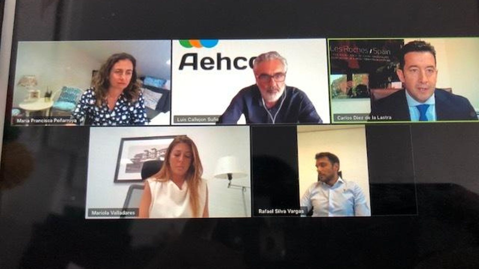 Un momento del foro virtual celebrado este martes organizado por Les Roches Marbella y Aehcos.