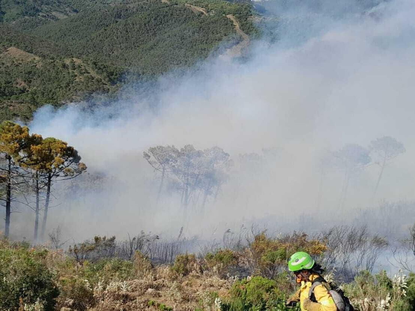 El incendio en Pujerra, en fotos