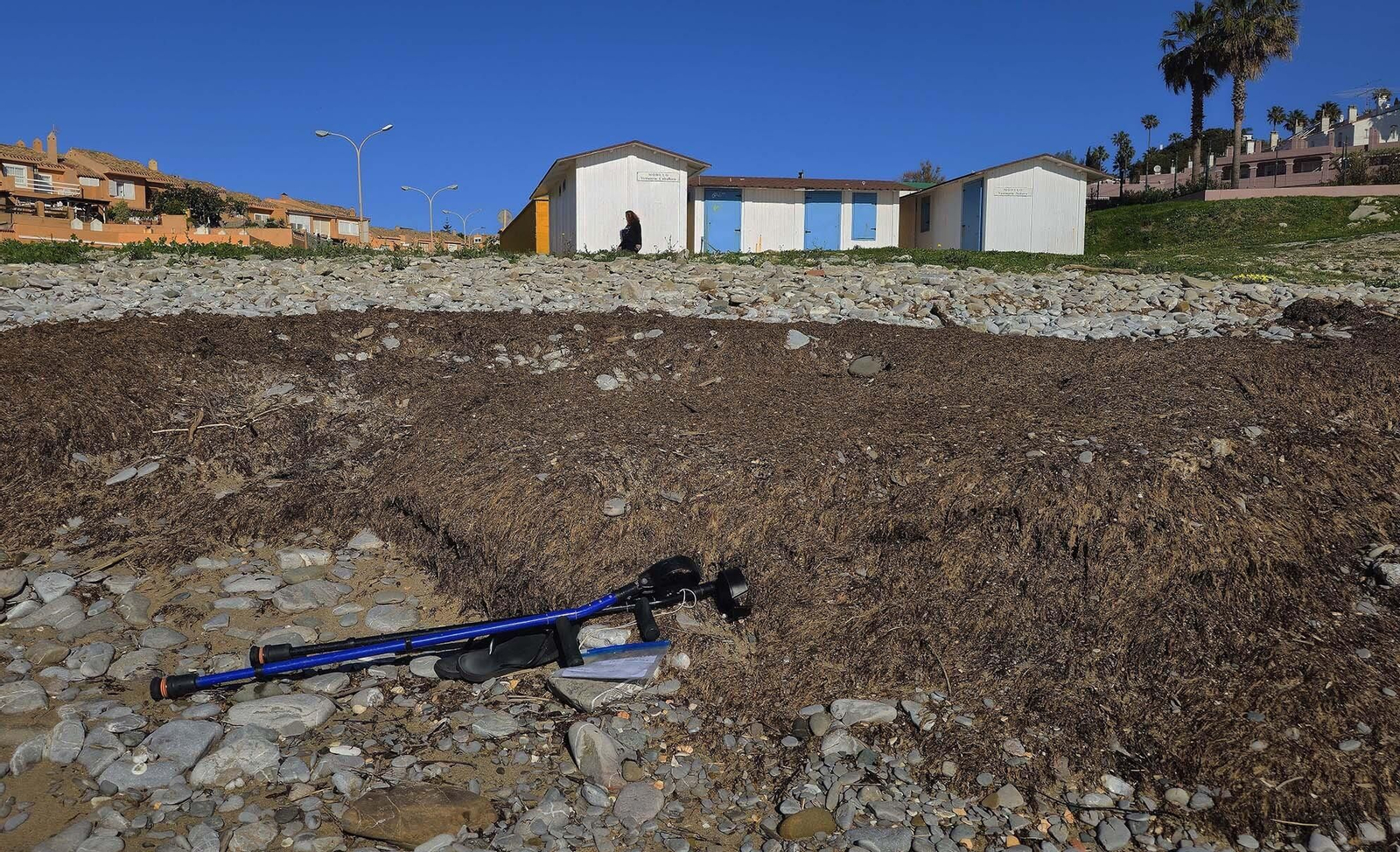 Imágenes del manto de alga parda en la playa de Getares