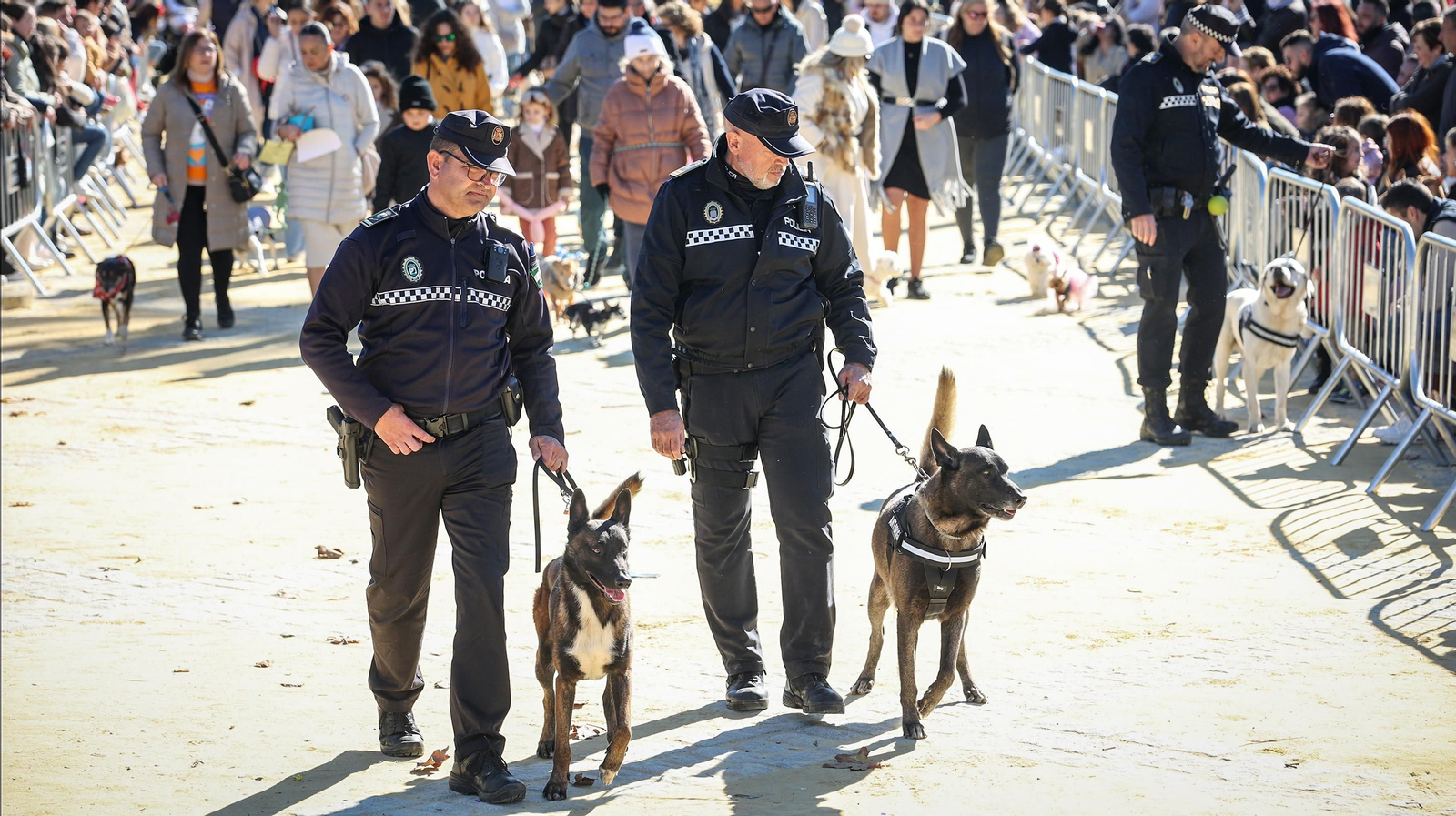 Búscate en San Antón de Jerez