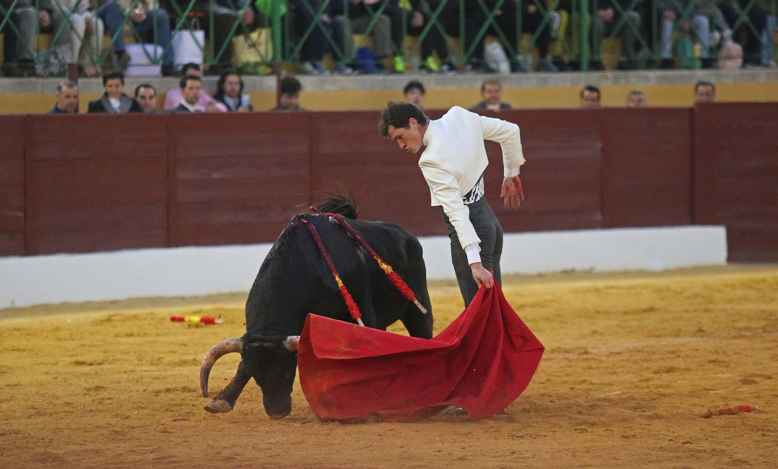 Fotos del festival taurino benéfico en La Línea