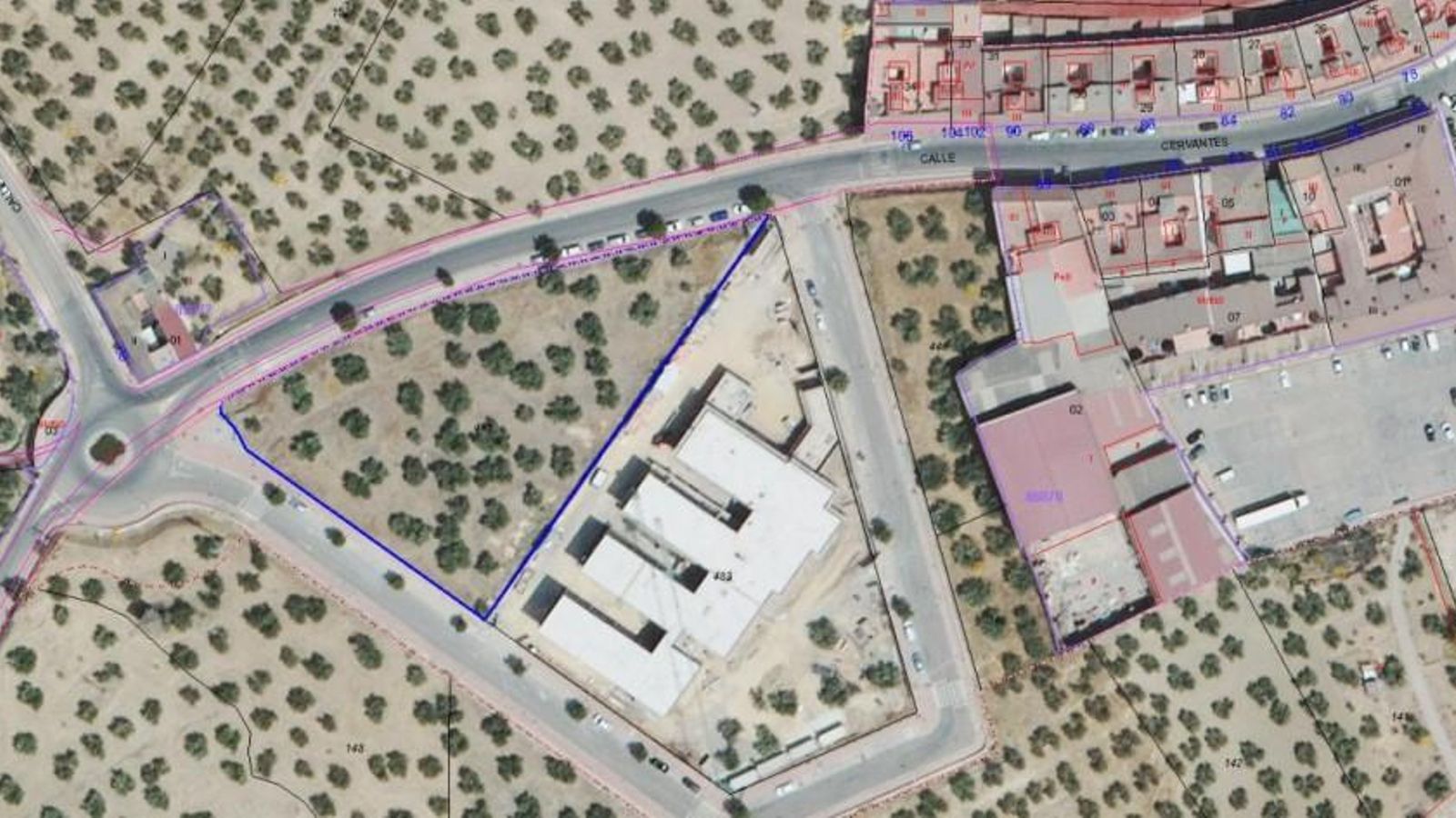 Panorámica de la Senda de la Golosilla de Montoro.