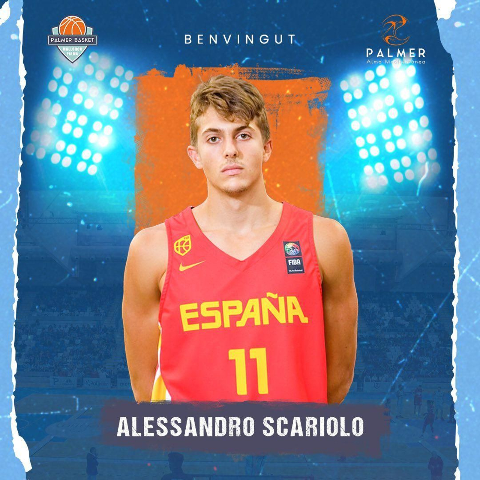 Alessandro Scariolo ficha por Palmer Basket