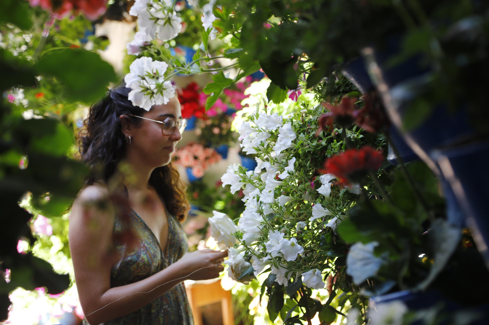 Los Patios de Córdoba se preparan para el fin de semana, en imágenes