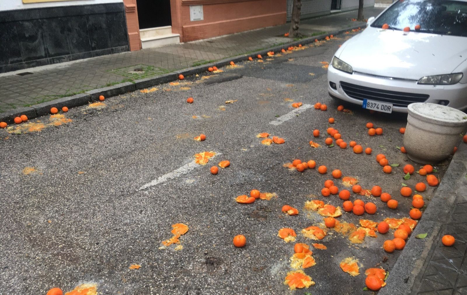Naranjas tiradas en el suelo de la calle Jabugo, en el barrio de El Fontanal.