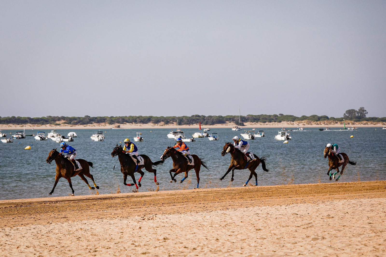 Imágenes de la segunda jornada del ciclo inicial de las Carreras de Caballos de Sanlúcar 2025