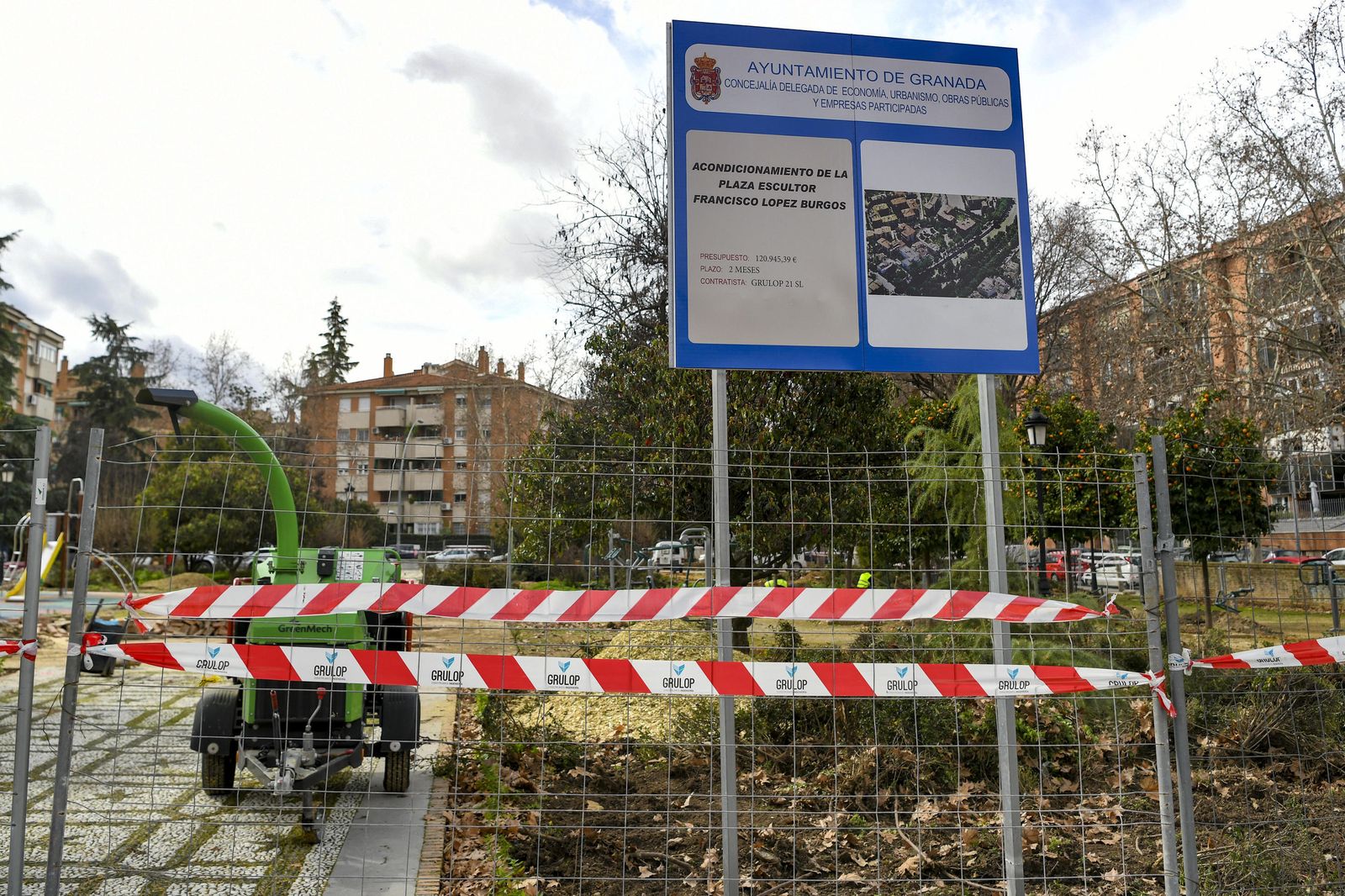 Fotos: así ha quedado la Plaza Escultor López Burgos tras otra poda en Granada