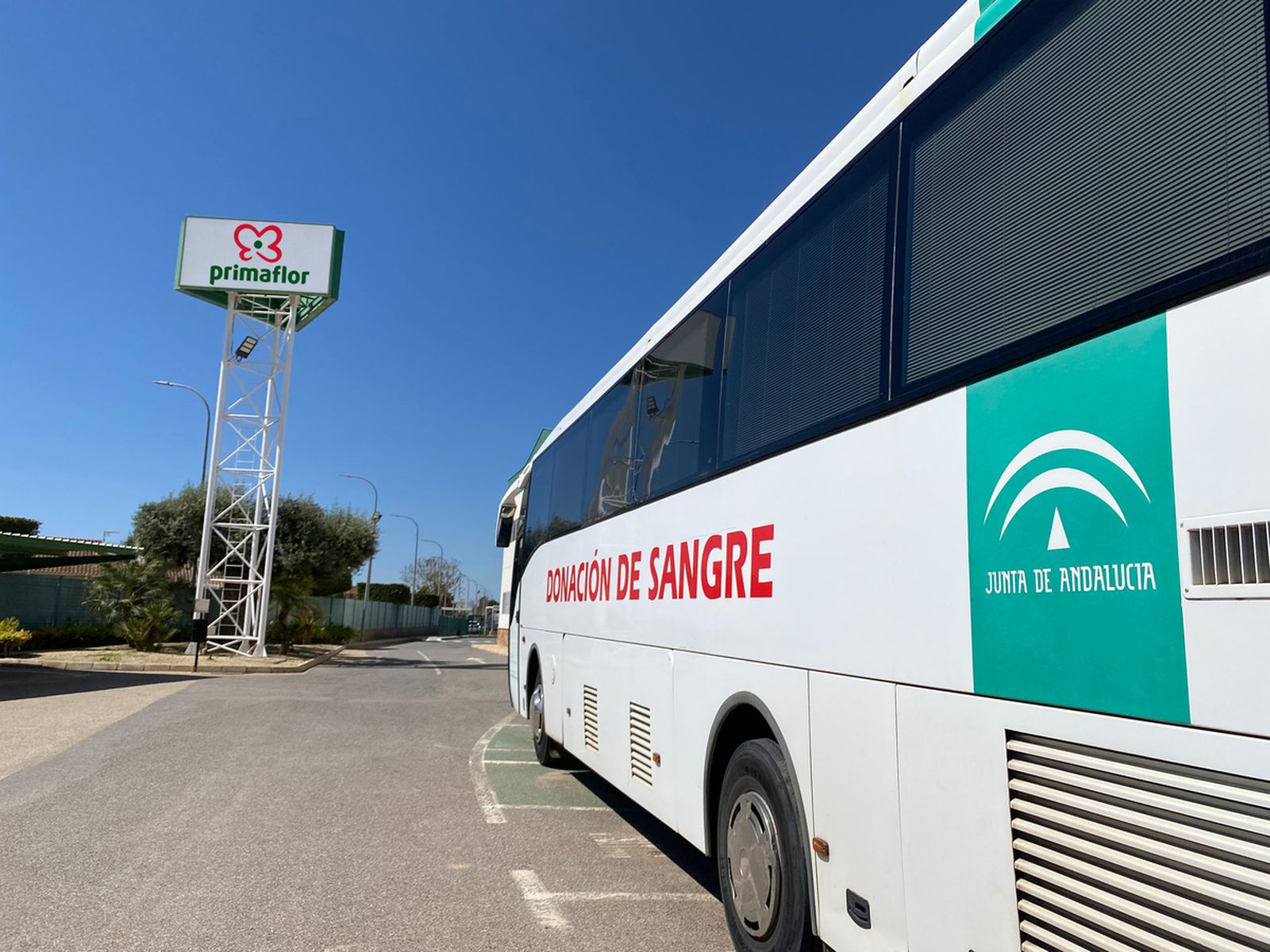 Primera campaña de donación de sangre de la Fundación Primaflor