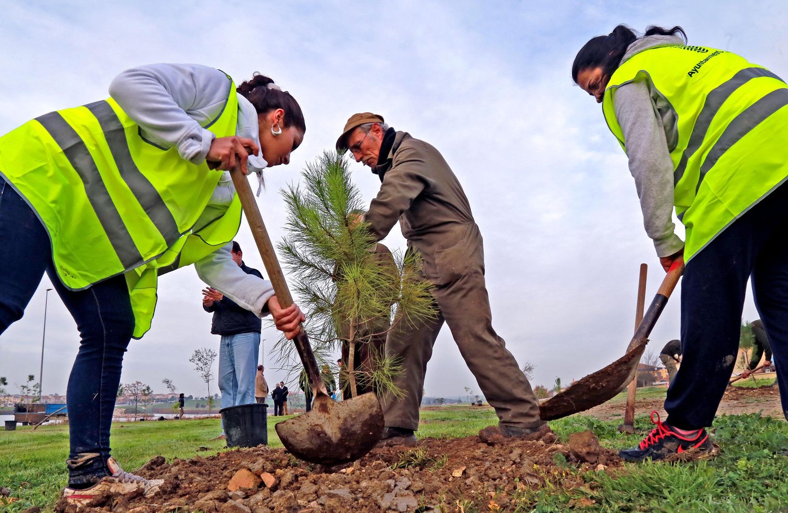 Imagen de otra plantación de árboles celebrada en la Laguna de Torrox de Jerez