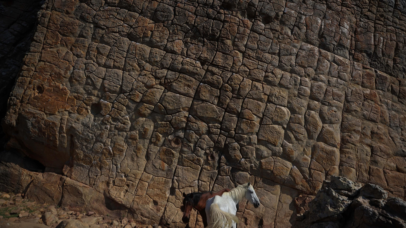 Fotos del sendero del Canuto del Arca en Tarifa