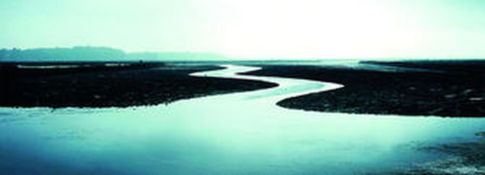 Panorámica de los esteros generados por el paso del río Arillo en su camino hacia el Atlántico.