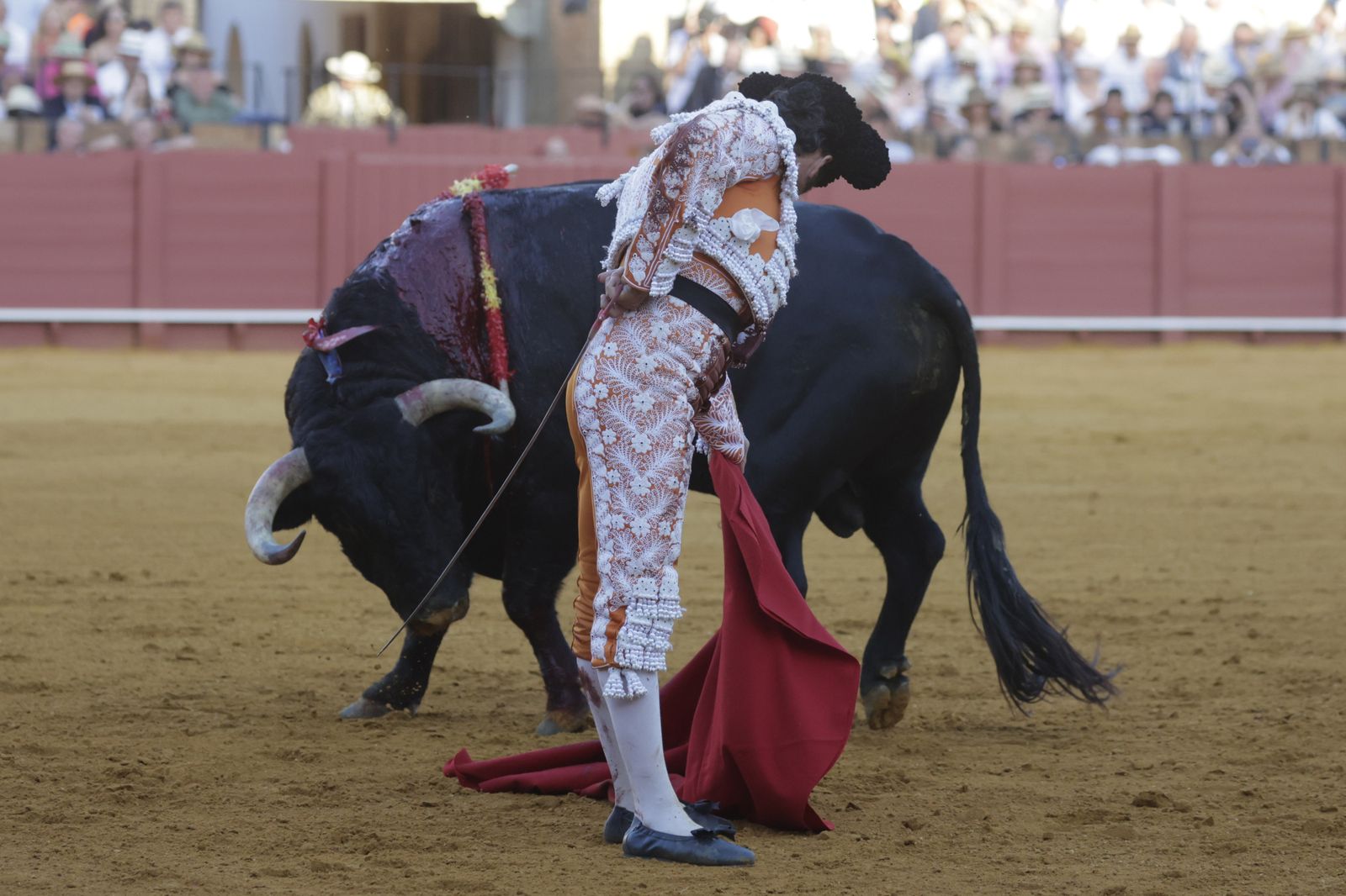 Las imágenes del festejo