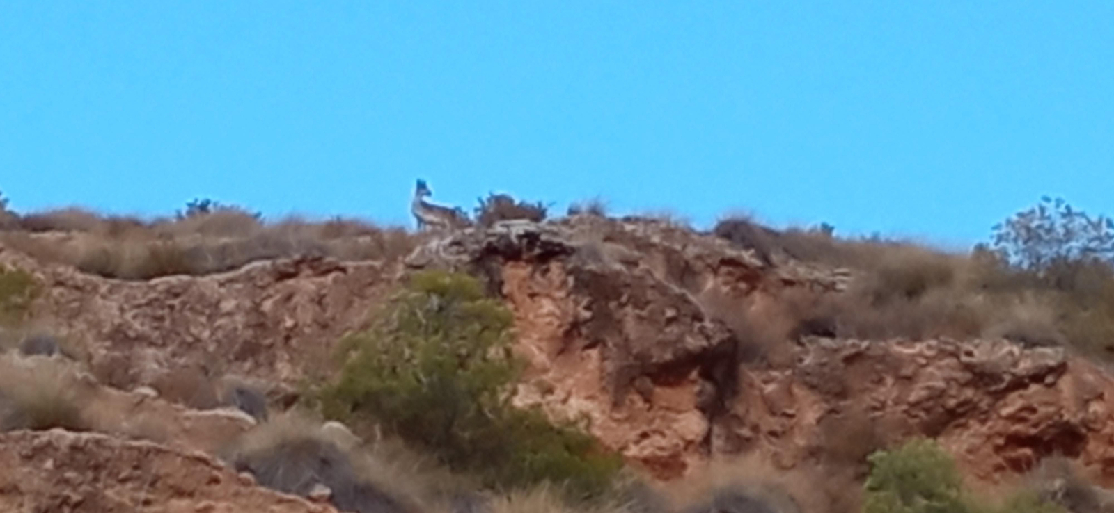 Las imágenes de la ruta Hinojares - Cuenca - Hinojares